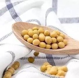 Raw Color Anti Ultraviolet Natural Soybean Protein Fiber 1.5Dx51MM