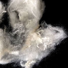 Around 5% Raw White TPP Fiber High Tenacity Environmental Protection Textile Fiber