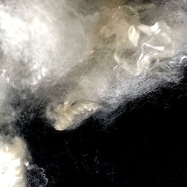 Around 5% Raw White TPP Fiber High Tenacity Environmental Protection Textile Fiber