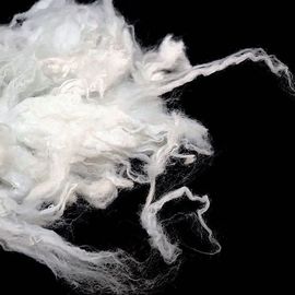 Antibacterial Raw White Stuffing Polyester Staple Fiber 38mm Length